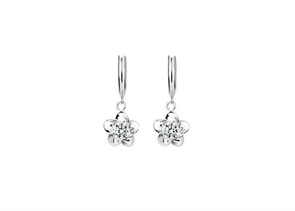 Rhodium Plated | Fashion Earrings